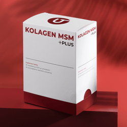 Collagen MSM +PLUS